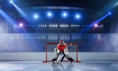 The Role of Goalies